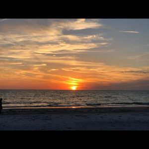 Meet your Posher, Anastasia